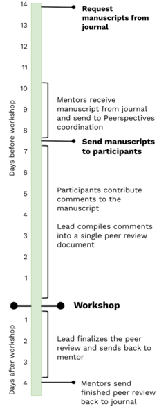 File:Workshop timeline.png
